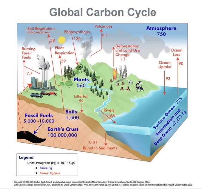 fossil fuels carbon cycle